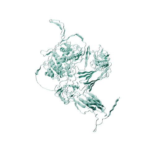 Human PDGFRA (C-6His, HEK293)